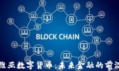 玻利维亚数字货币：未来金融的前沿探索