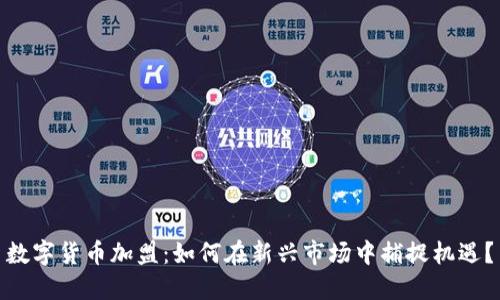 数字货币加盟：如何在新兴市场中捕捉机遇？