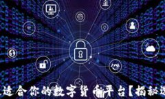 如何找到最适合你的数字货币平台？揭秘选择的