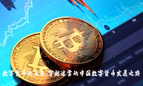 数字货币的未来：穿越迷雾的中国数字货币发展之路