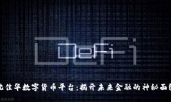 沈佳华数字货币平台：揭开未来金融的神秘面纱