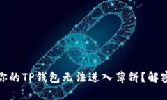 : 是什么让你的TP钱包无法进入薄饼？解密背后的