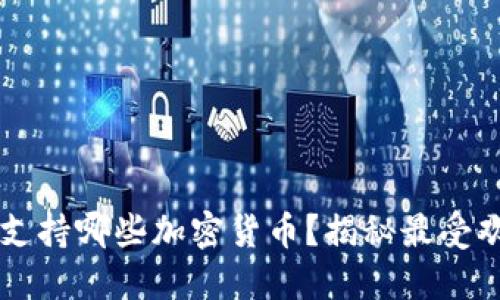 以太坊钱包能支持哪些加密货币？揭秘最受欢迎的钱包功能