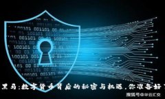 创业黑马：数字货币背后的秘密与机遇，你准备
