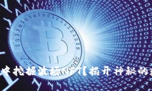 如何在TP钱包中挖掘波场NFT？揭开神秘的数字艺术世界！