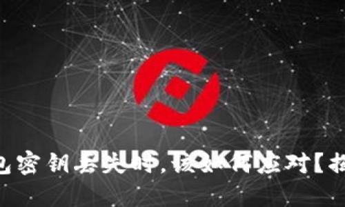 “当你的TP钱包密钥丢失时，该如何应对？揭秘挽救措施！”