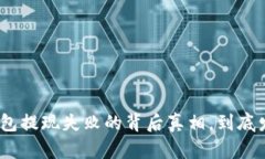 揭秘！t p钱包提现失败的背后真相，到底发生了