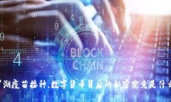 罗湖疫苗接种，数字货币背后的秘密究竟是什么