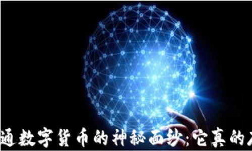 
苏州流通数字货币的神秘面纱：它真的存在吗？