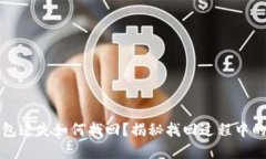 TP钱包遗失如何找回？揭秘找回过程中的秘密