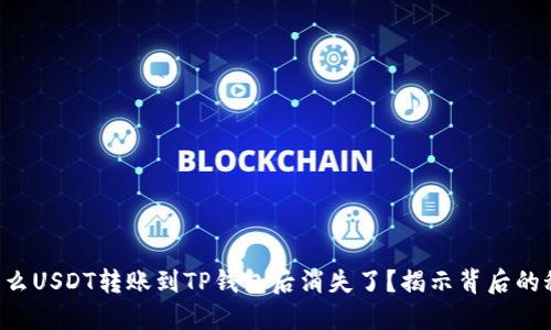 为什么USDT转账到TP钱包后消失了？揭示背后的秘密！