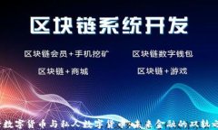 央行数字货币与私人数字货币：未来金融的双轨