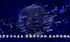 数字货币的未来：浪潮中的涌动，真相即将揭晓