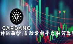 揭开数字货币的神秘面纱：自动分析平台如何改