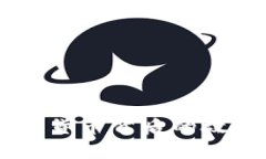 揭秘XRP：数字货币背后的故事与未来展望