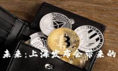数字货币的未来：上海发布会带来的悬念与机遇