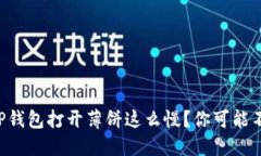 为什么你的TP钱包打开薄饼这么慢？你可能不知道