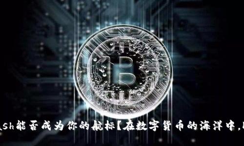 在数字货币的海洋中，Kcash能否成为你的航标？在数字货币的海洋中，Kcash能否成为你的航标？