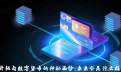 揭开缅甸数字货币的神秘面纱：未来会是什么样
